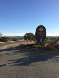 Castoro Cellars