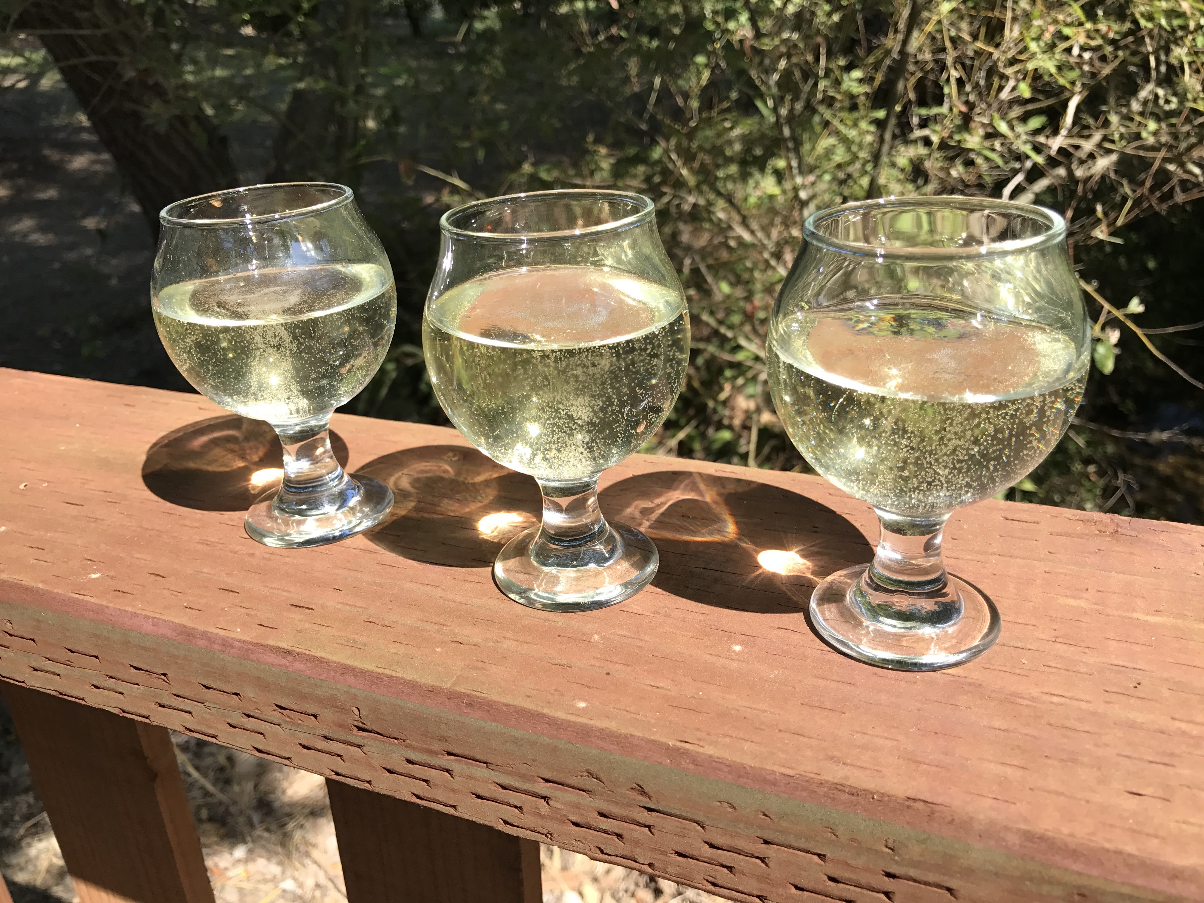 Righteous Apple cider in glasses