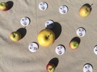 apples on table photo
