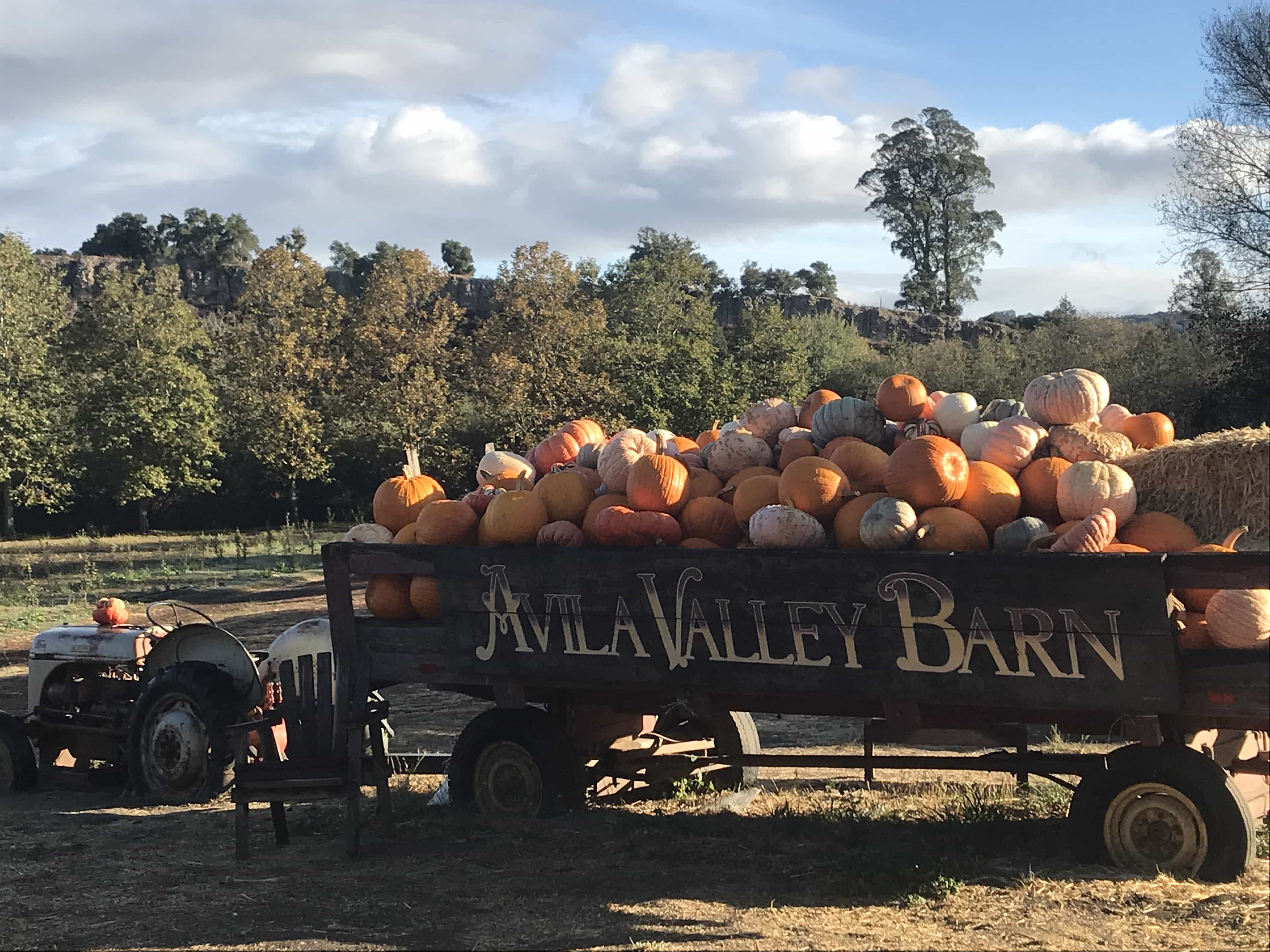 Avila Valley Barn image