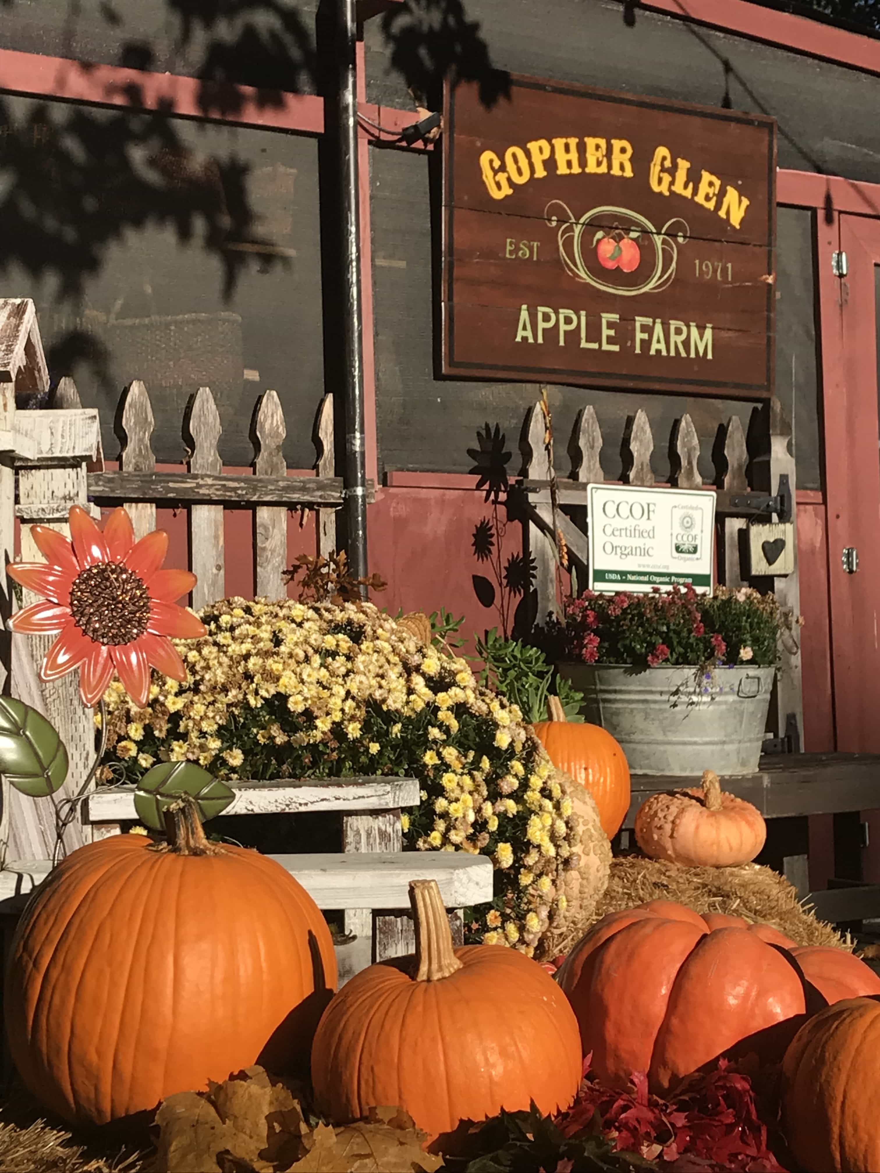 Gopher Glen farm stand imate