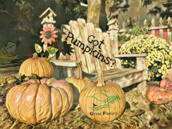 pumpkins and bench image