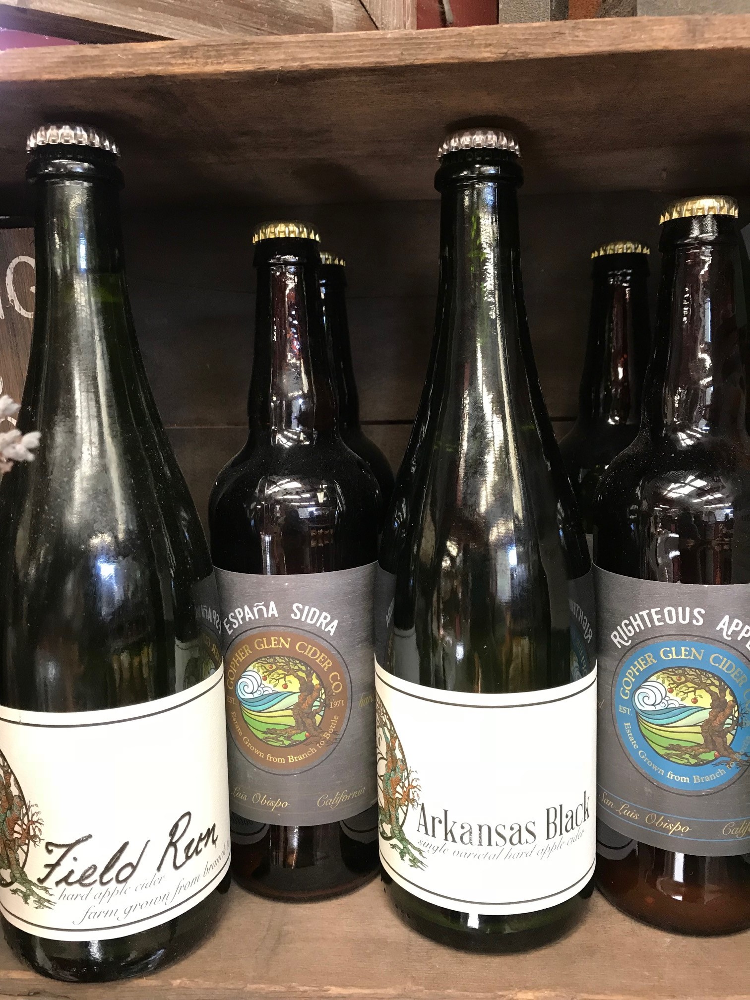 row of hard cider bottles