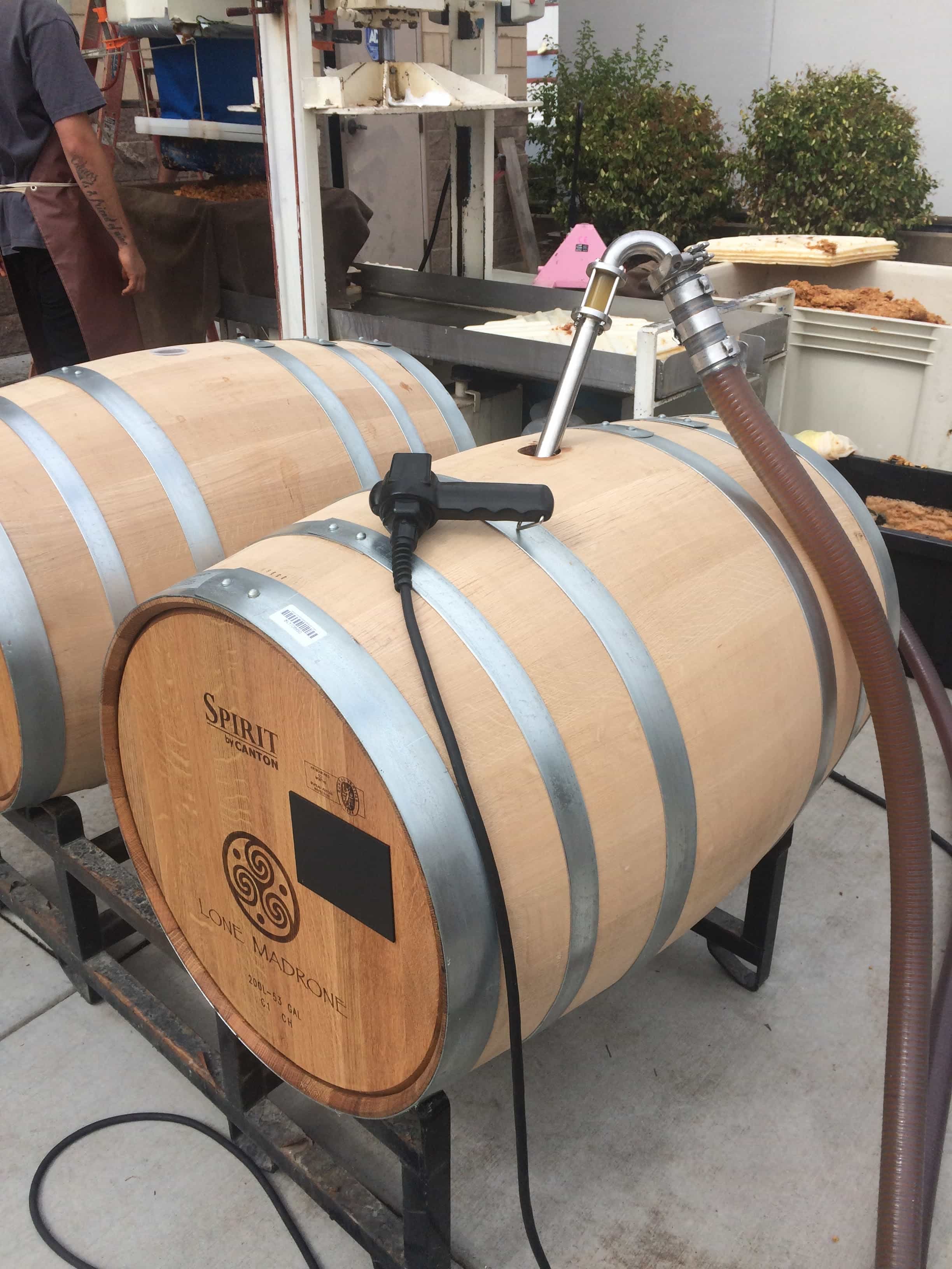 cider pumped into barrels photo