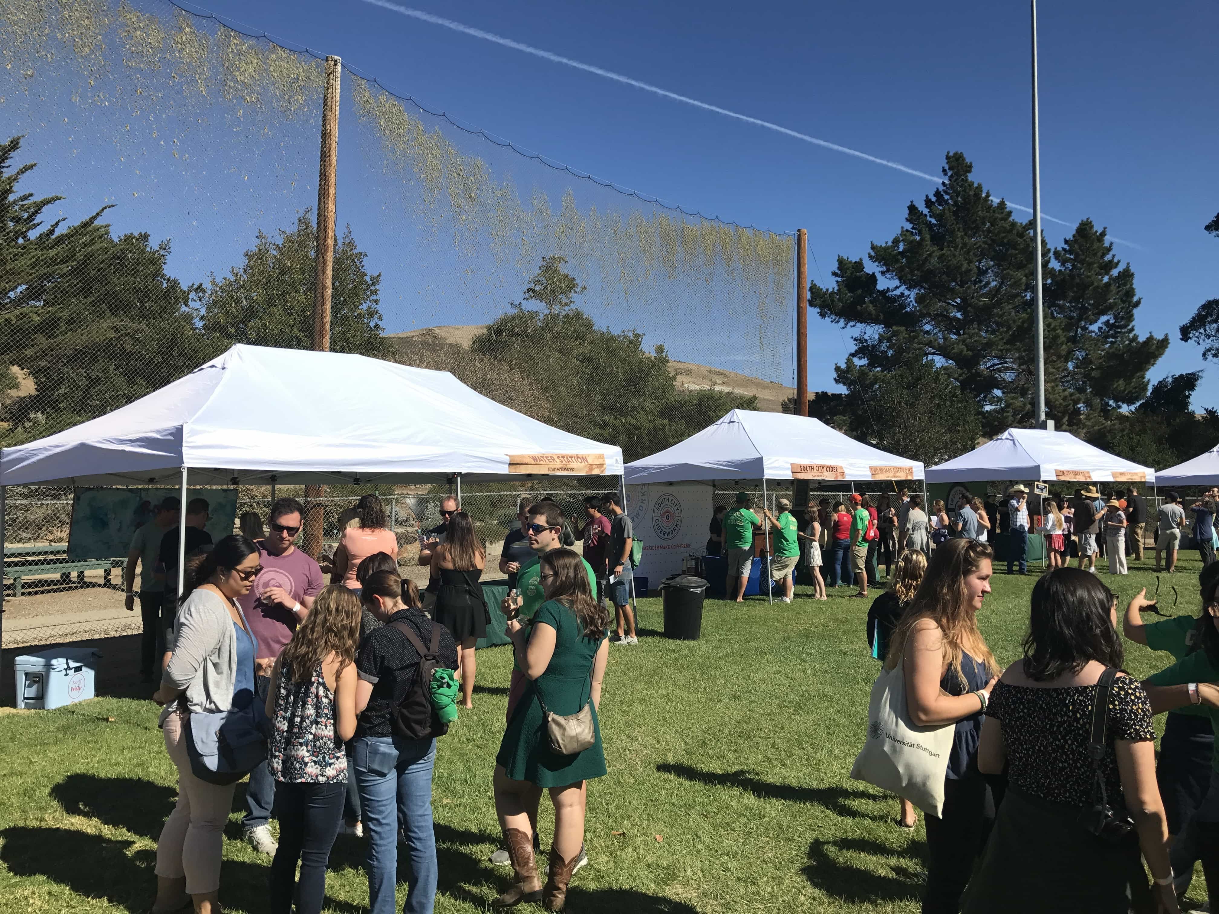 crowd photo