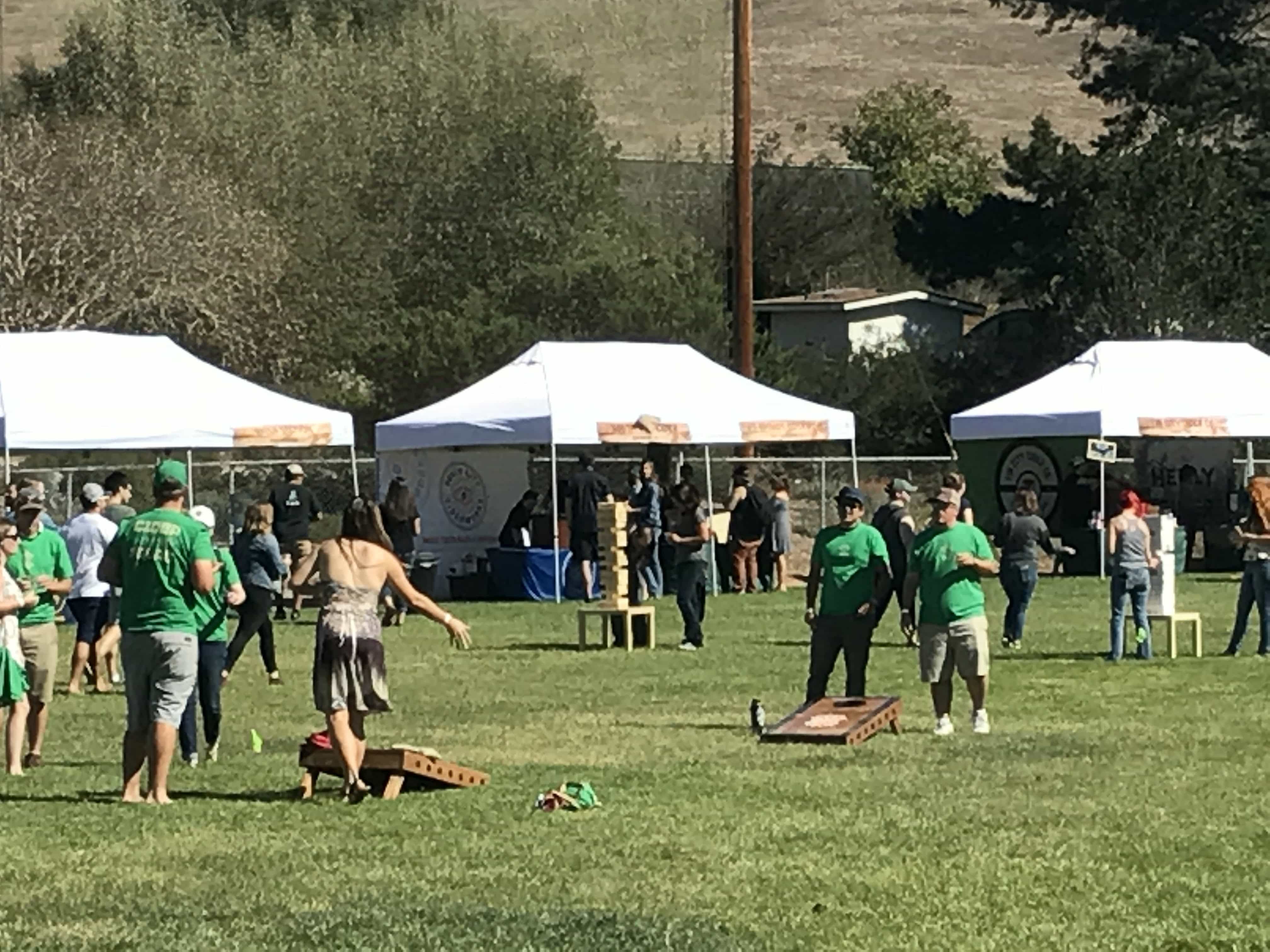 lawn games photo