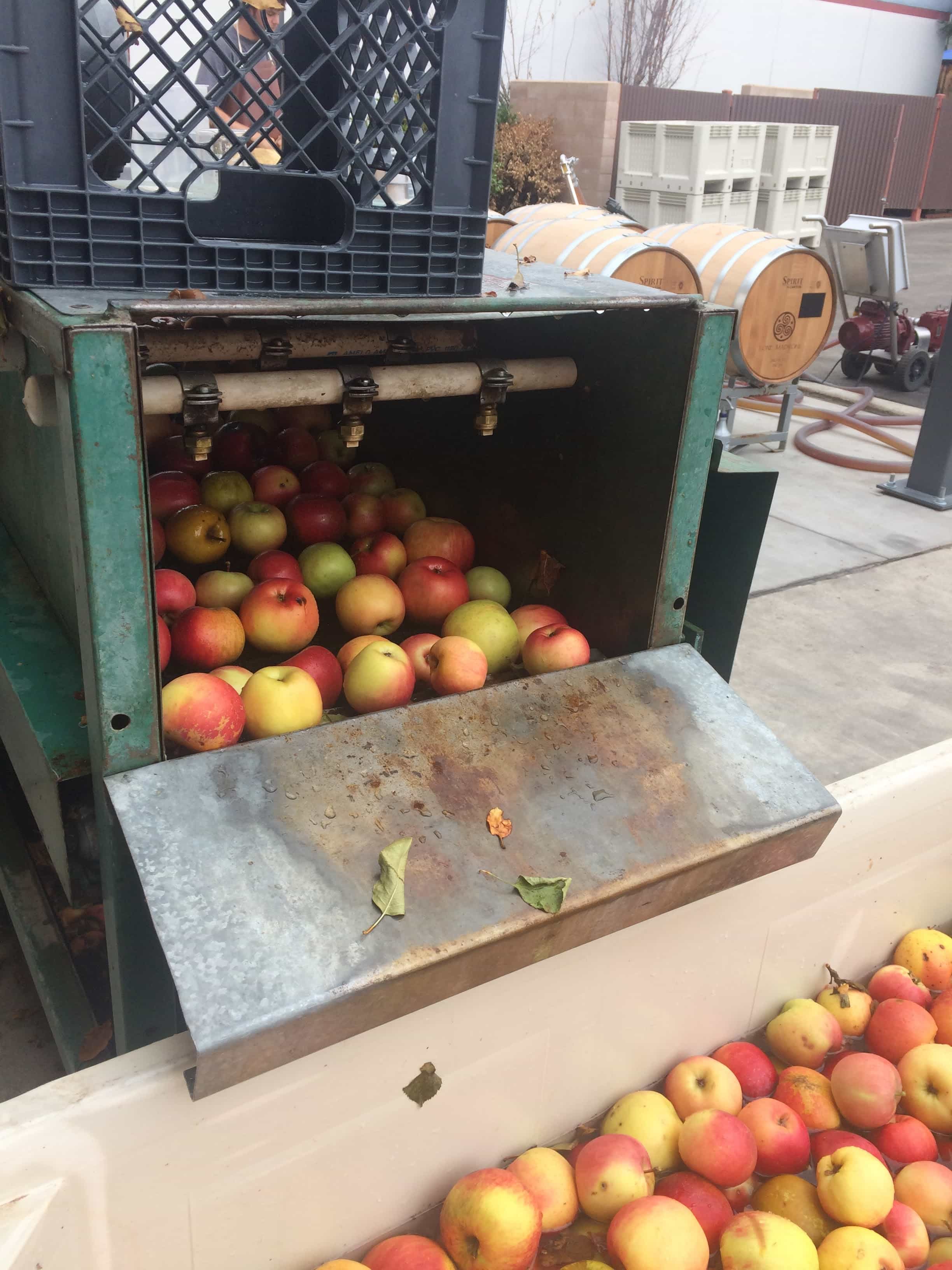 apples in washer