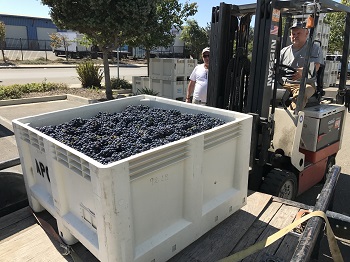 Kevin Law forklift image