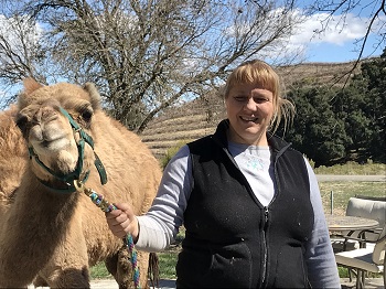 Tulie the camel image
