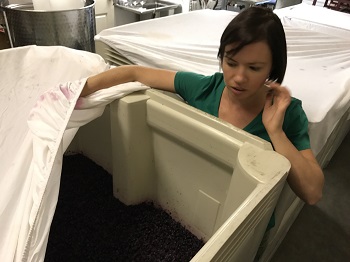 fermentation bin image