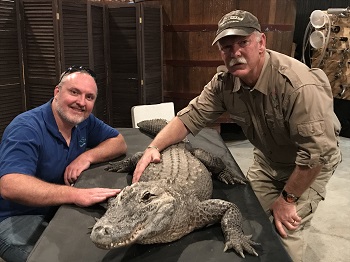 Spike Scott Andrew image