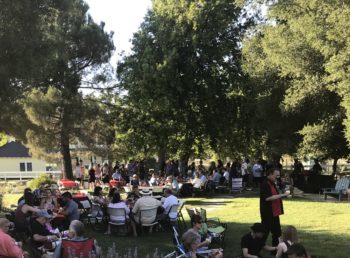lawn crowd photo