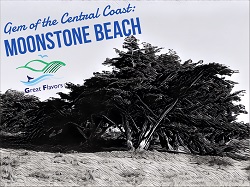 Moonstone Beach, the Gem of the Central Coast (Cambria)