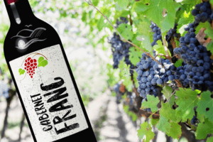photo Central Coast Cabernet Franc